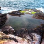 piscina natural